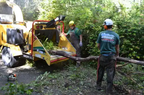 tree services Tri-Lakes